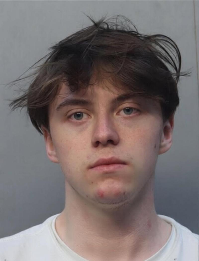 Trenton Richard Johnston mugshot