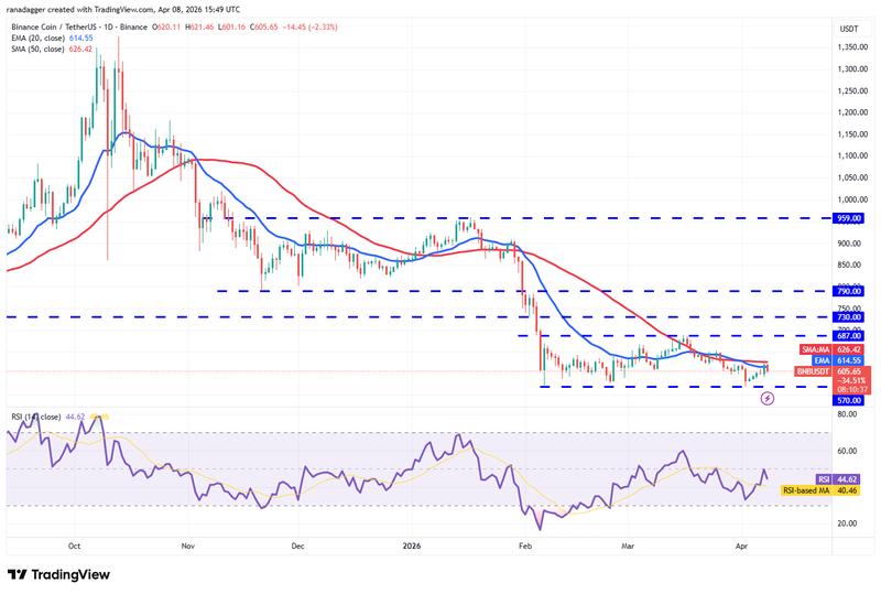BNB/USDT daily chart