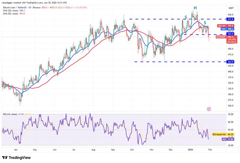 BCH/USDT daily chart