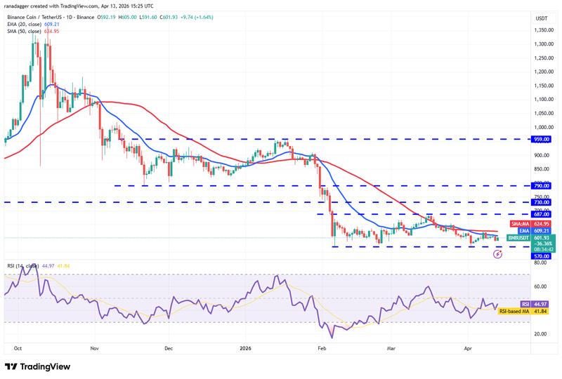 BNB/USDT daily chart