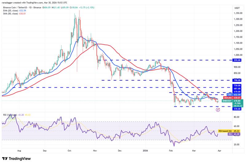 BNB/USDT daily chart