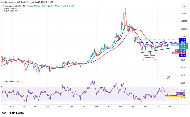 BNB/USDT daily chart