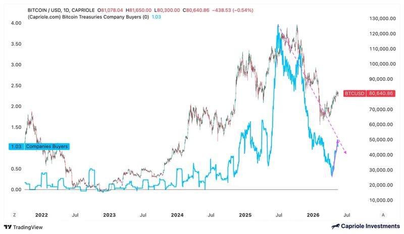 Bitcoin treasury companies buyers