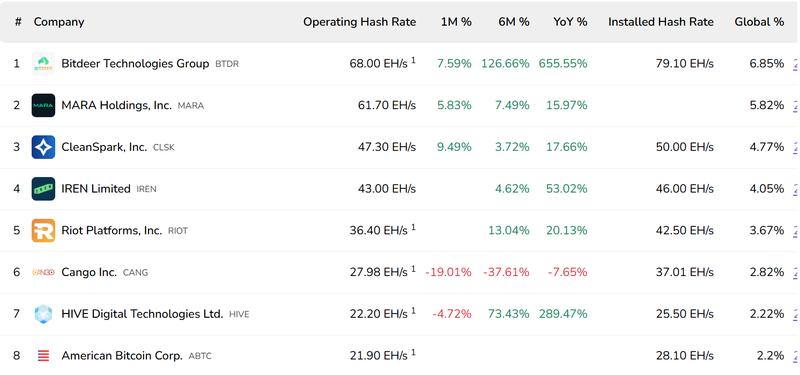 Top Bitcoin mining companies by hashrate