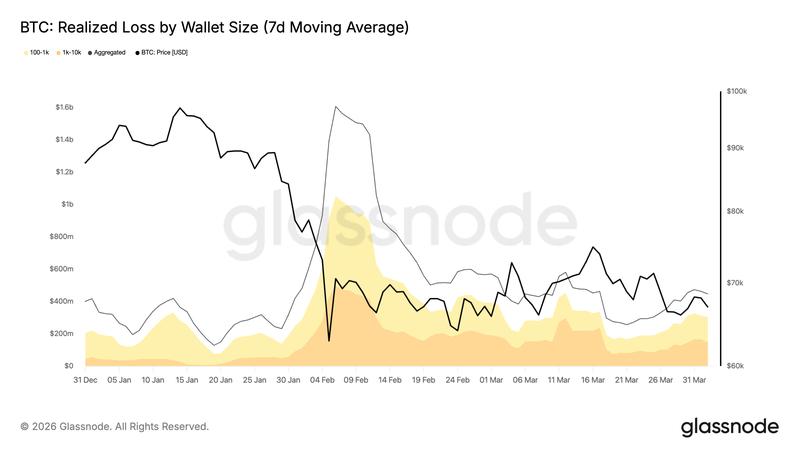 BTC realized loss by wallet size
