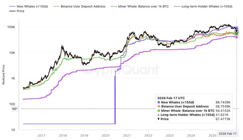Bitcoin realized price data