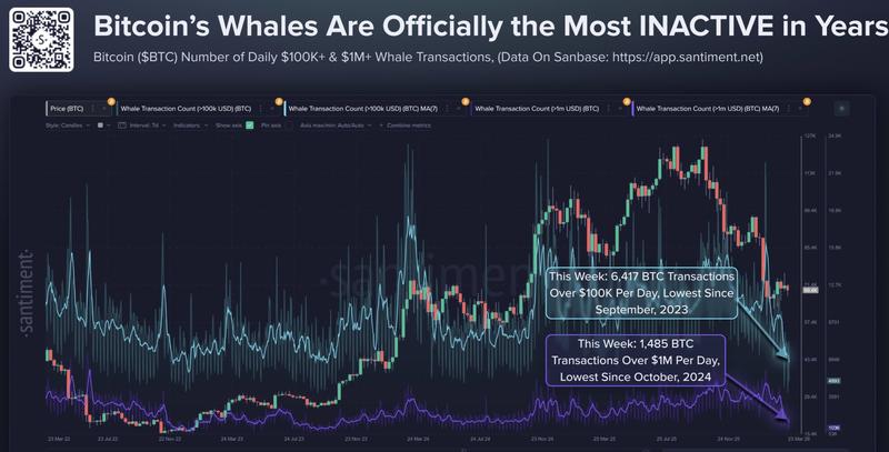Bitcoin whale activity