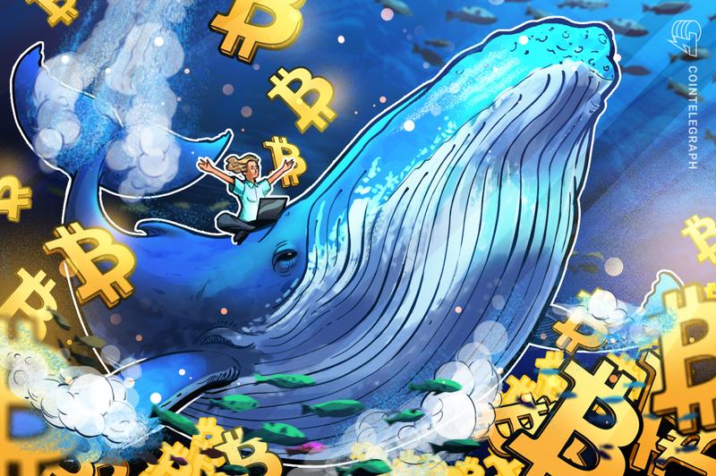 BTC Whale Accumulation Reaches Highest Point in Five Months: Could $80K Be the Next Target?