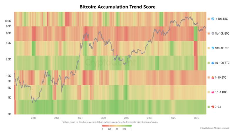 Bitcoin accumulation trend score