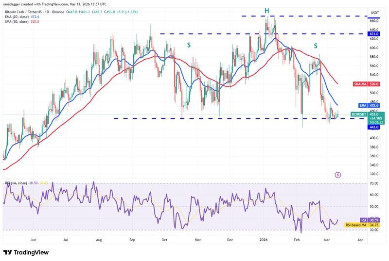 BCH/USDT daily chart