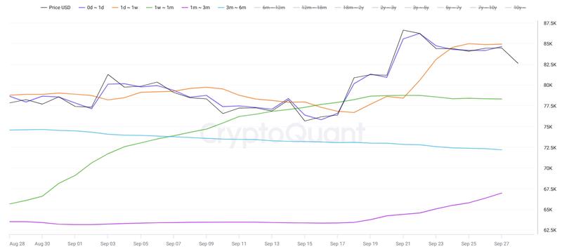 Bitcoin investor cost basis by age