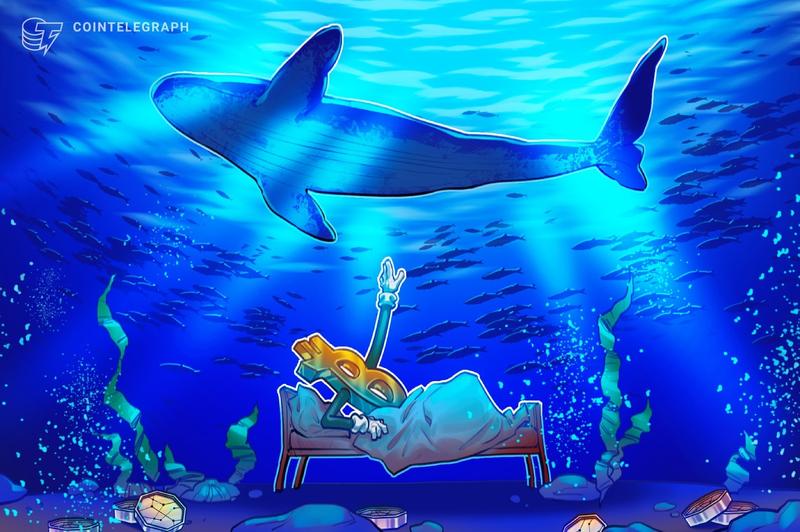 Record Bitcoin withdrawals from Binance surge to highest levels since mid-2023 amid whale stablecoin deposits
