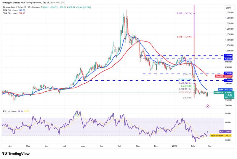 Daily chart for BNB/USDT