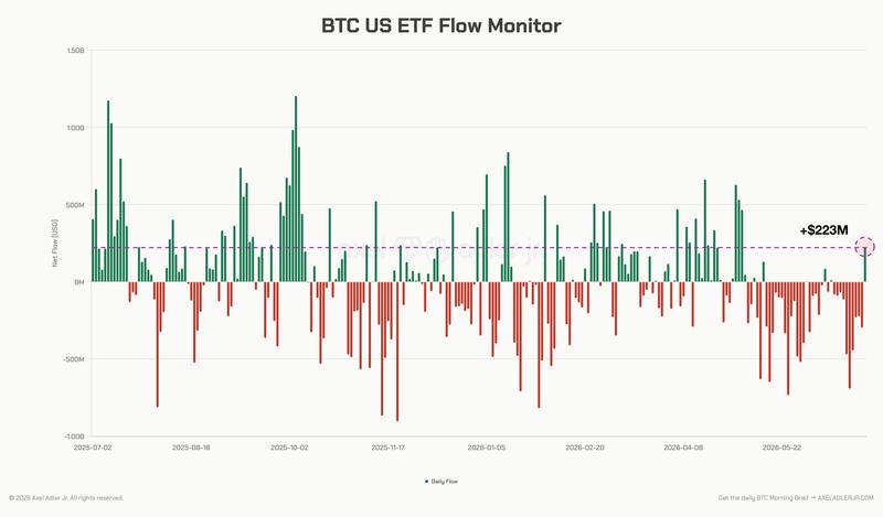 US spot Bitcoin ETF netflows chart