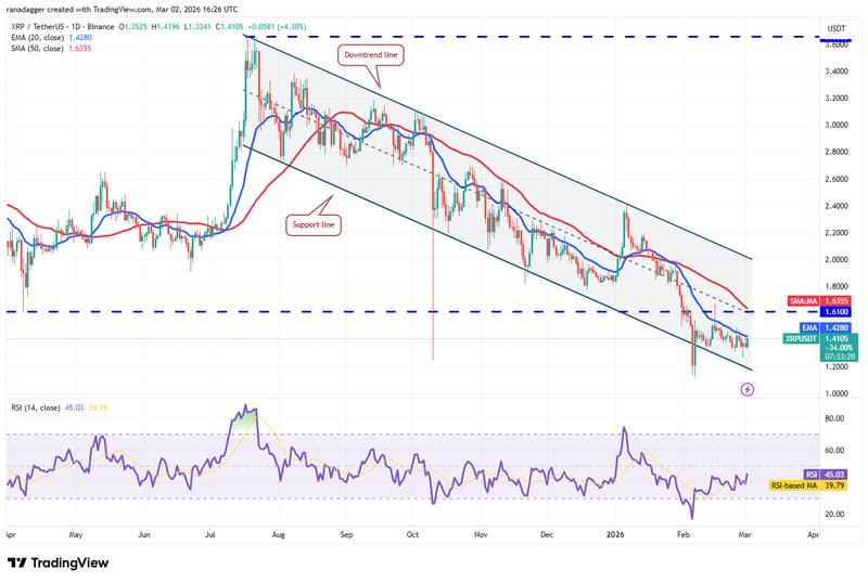 XRP/USDT daily chart