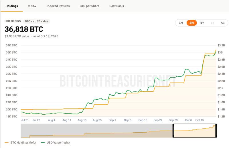 Strive Bitcoin holdings