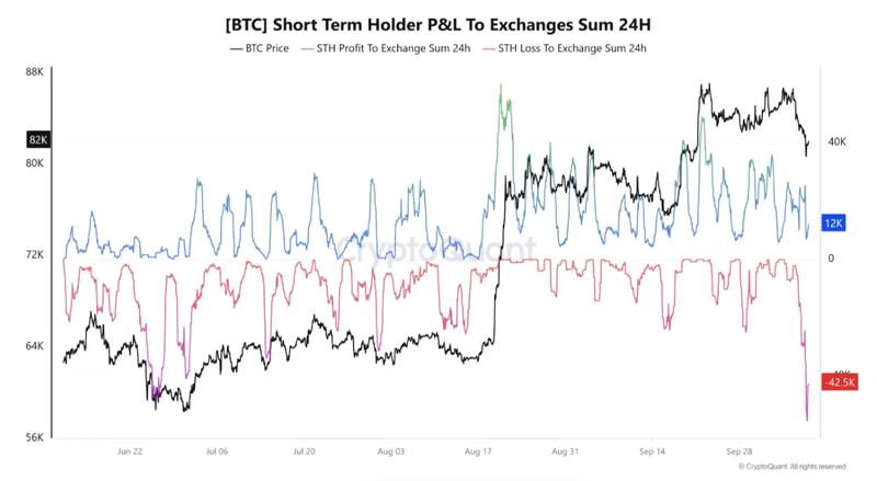 Bitcoin STH transactions chart