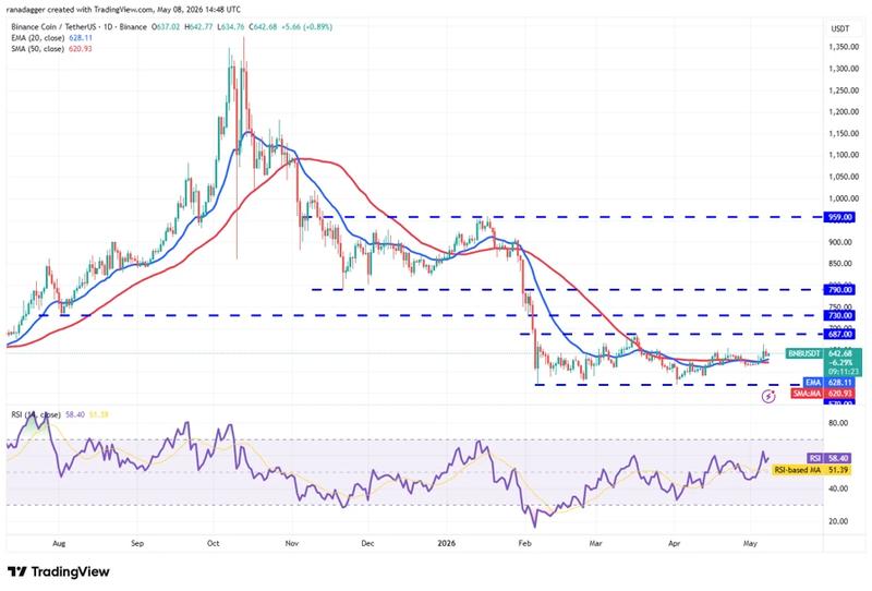 Daily chart for BNB/USDT