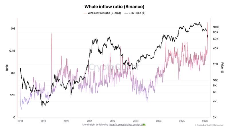 Bitcoin whale inflow ratio