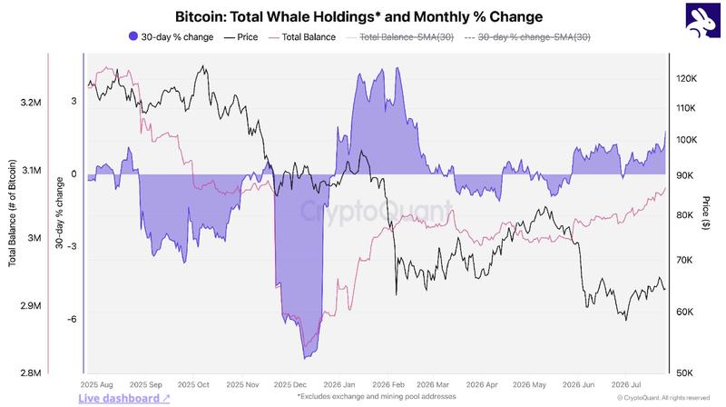 Bitcoin whale holdings chart