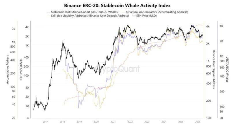 Binance ERC-20 stablecoin whale activity index