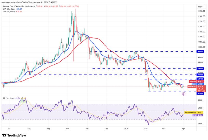 Daily chart for BNB/USDT