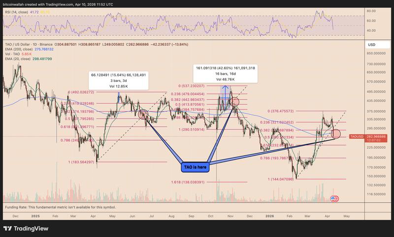 TAO/USD daily chart