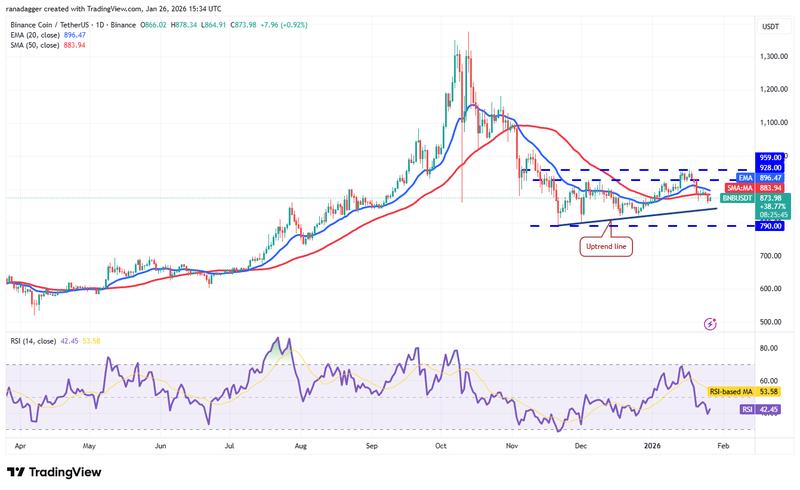 BNB/USDT daily chart