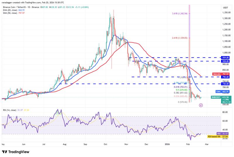 BNB/USDT daily chart