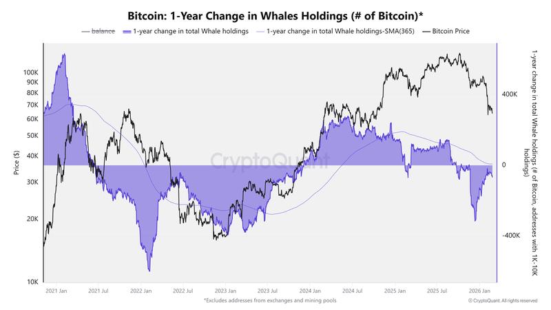 Bitcoin 1-year change in whale holdings