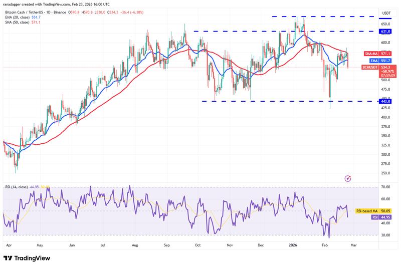 BCH/USDT daily chart