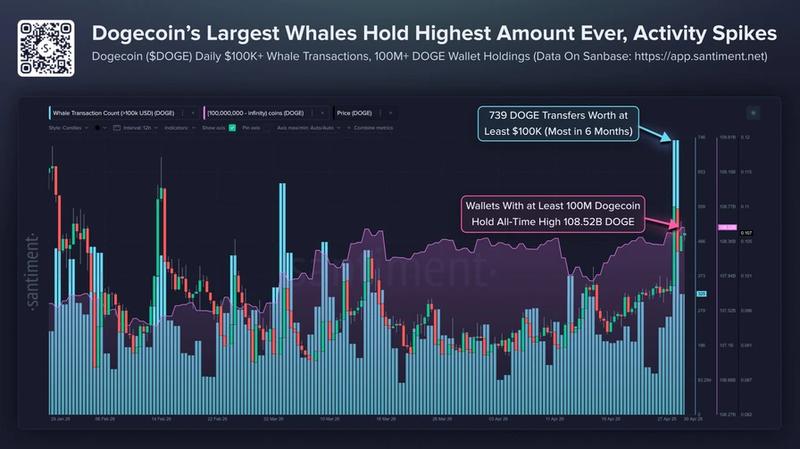 Dogecoin whale transactions and holdings