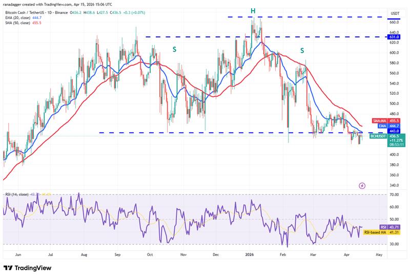 BCH/USDT daily chart