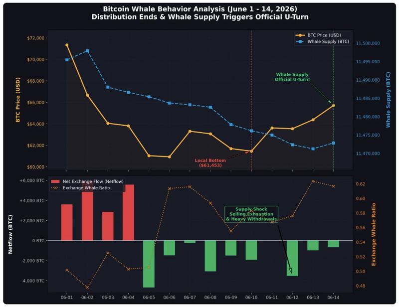 Bitcoin whale data