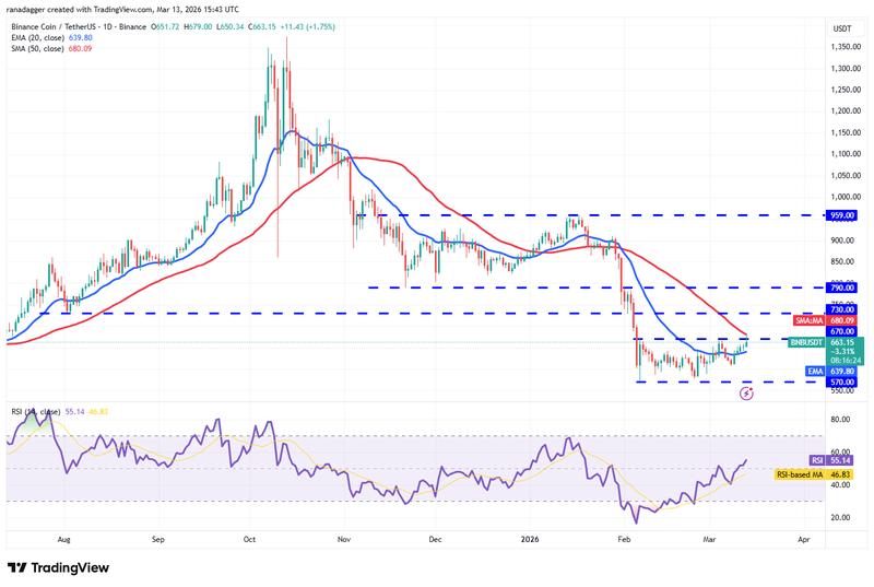 BNB/USDT daily chart