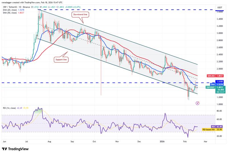 Daily XRP/USDT price chart