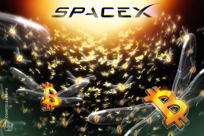 IPO Documents Show SpaceX Bitcoin Portfolio Exceeds Previous Projections