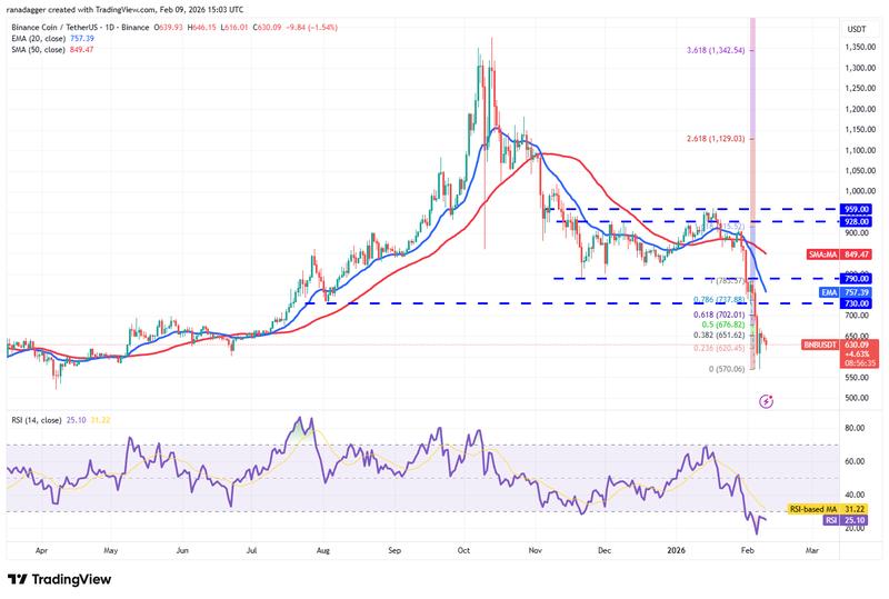 Daily chart for BNB/USDT