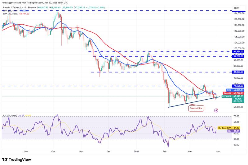 BTC/USDT daily chart