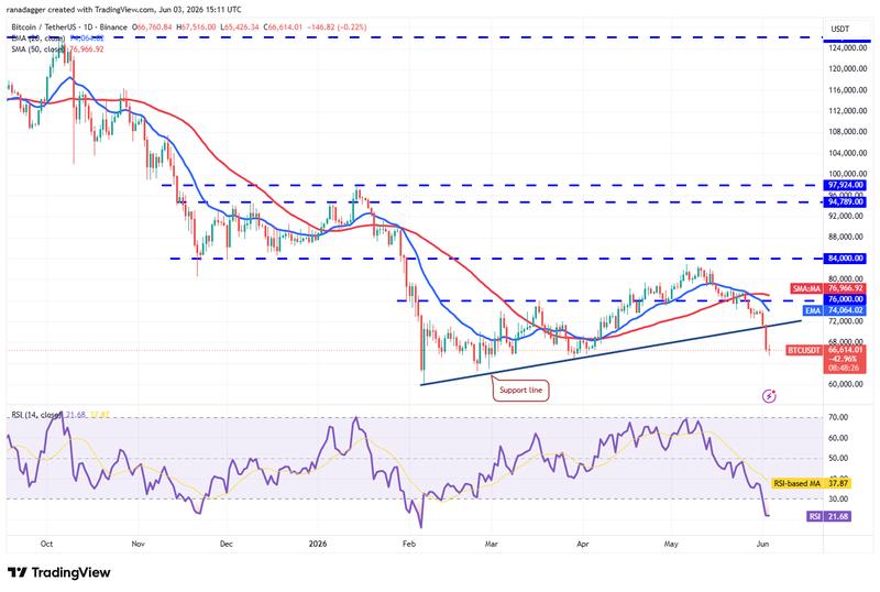 BTC/USDT daily chart