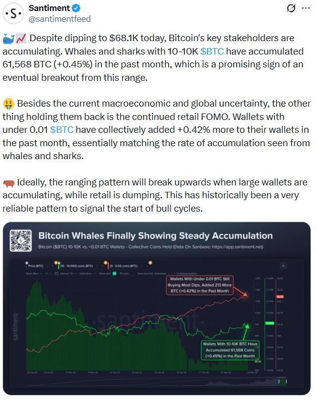 Bitcoin whale accumulation chart