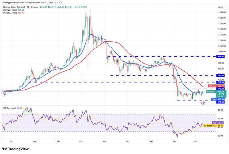BNB/USDT daily chart