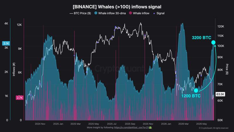 Binance inflows by whales