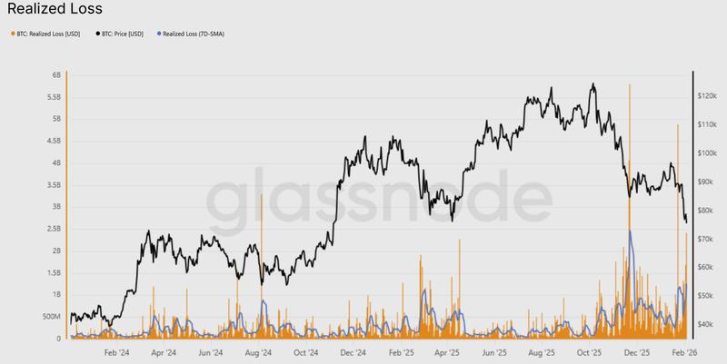 Bitcoin unrealized loss chart
