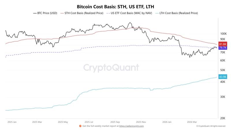 Bitcoin cost basis chart
