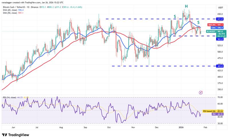 BCH/USDT daily chart