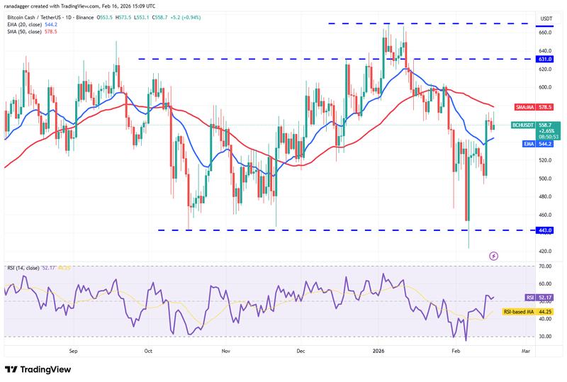 BCH/USDT daily chart
