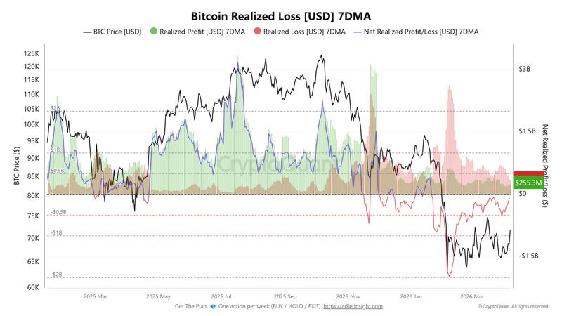 Bitcoin Net Realized Profit/Loss