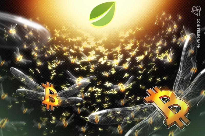 Bitcoin Margin Longs on Bitfinex Reach Two-Year Peak: Could BTC Hit $100K?