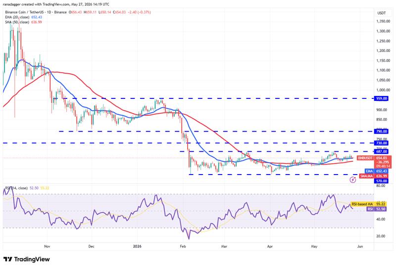 BNB/USDT daily chart